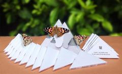 Boxed Butterflies